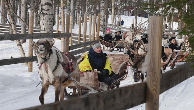 Take a fun reindeer ride