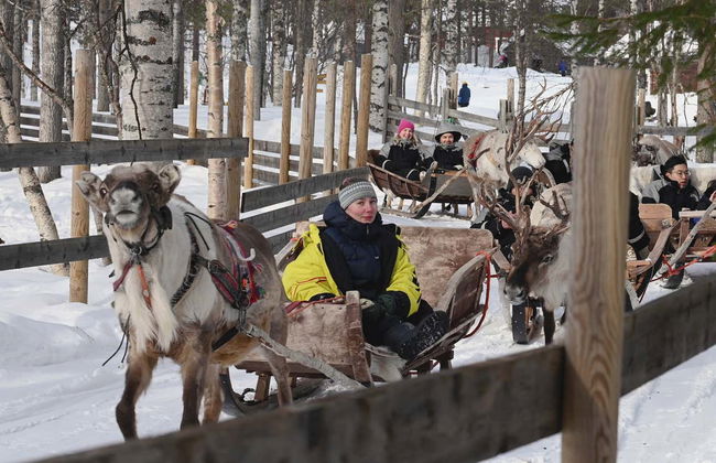 Snowmobile & Reindeer Sleigh Tour - Photo 4