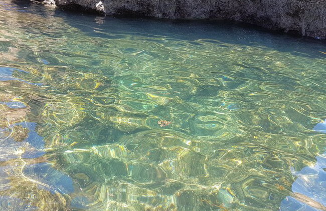 Excursión a la gruta de Ponta da Piedade en Lagos, Algarve - Foto 26