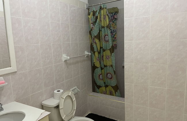 Pirate Palms - Foto 27