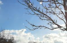 auszeit-orketal - Foto 8