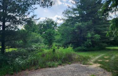 Whispering Woods Estate - Relax, Recharge, Connect - 12 wooded acres, 3 Bedrooms, 3 Baths, sleeps 10 - Foto 13