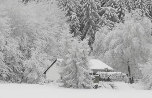 Ferienhaus mit Ausblick - Foto 24