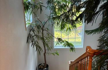 A Peaceful Slice of Heaven Near Boulder - Foto 39