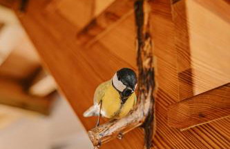 tuŻur domki nad potokiem - Foto 13