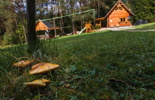 Smerekowiec Domek w lesie - Beskid Niski - Foto 42