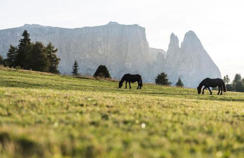 Mountain Residence CLARA - Foto 125