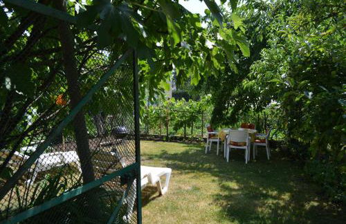 Location Alice - Photo 37