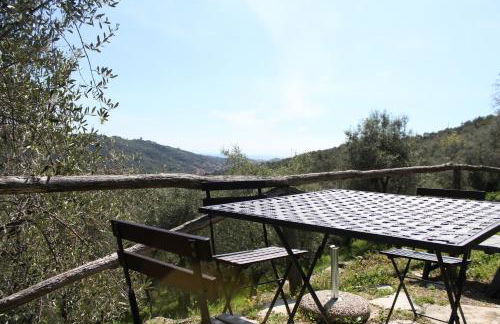 Il Cavedano Innamorato - Foto 45