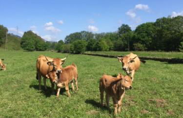 La Corrolada - Photo 46