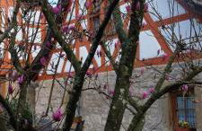 Idyllisches Fachwerkhäusle mit Terrasse am Tor zum Schwarzwald - Foto 12