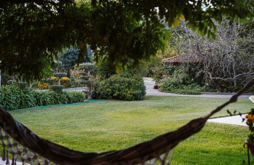 Casa Rural Oliveira do Bairro - Foto 48