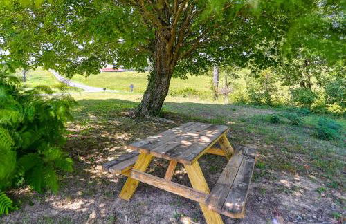 Creek, Trails and Falls! Rural Red River Gorge Cabin - Foto 24