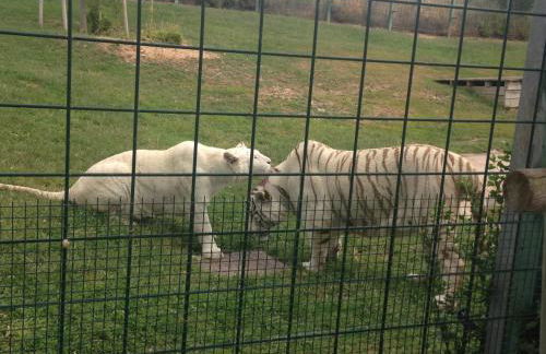 Apartamento Turistico Cigüeña de Arguedas - Foto 15