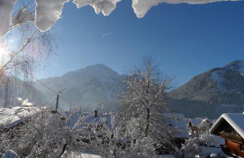 Alpakahof Wechs - Foto 17