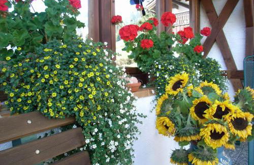 Gästehaus Auerstüble - Photo 32