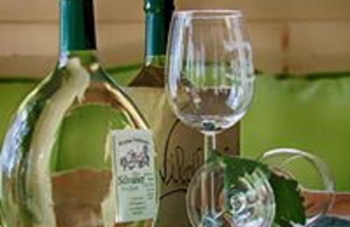 Wildberghof - Foto 10