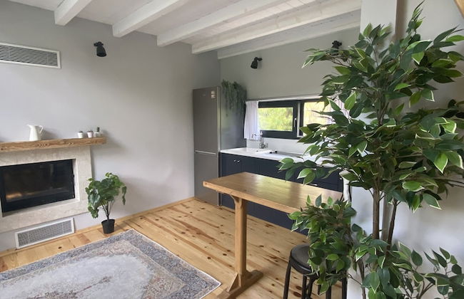 Koti Sapanca - Foto 8