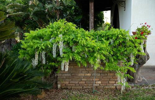 Villa del Ruach - Foto 11