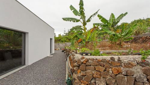 Paraiso Madeira - Suites - Foto 5