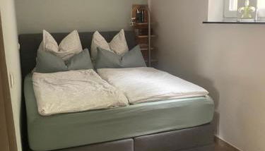 Moderne großzügige Souterrainwohnung Zarrentin Gallin Schaalsee Natur Wald Wasser - Foto 3