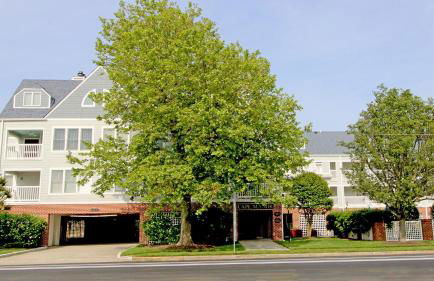 Cape Manor Unit #209 - Foto 1