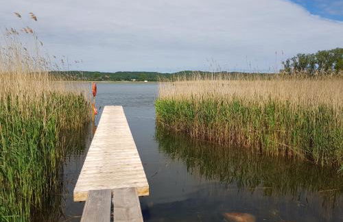 Fewo 7 im Fischerhaus Wintergarten und Terrasse mit Strandkorb - Foto 37