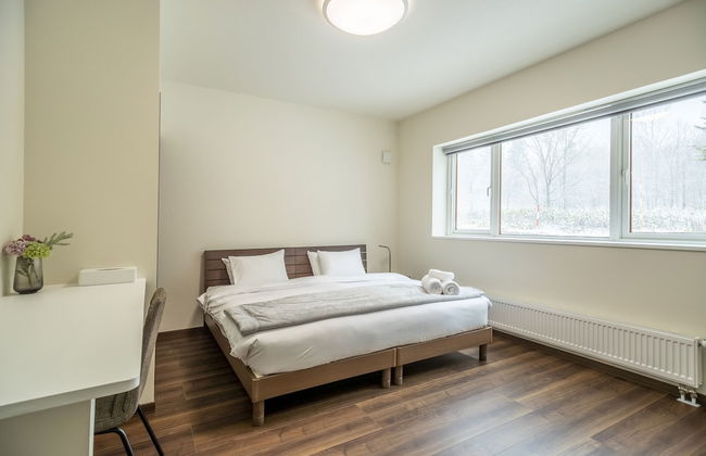 Blue Heron - Photo 2