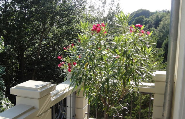 Ferienwohnungen zum Entspannen - Foto 12