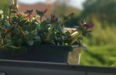 Chez Grand Maman - Foto 44