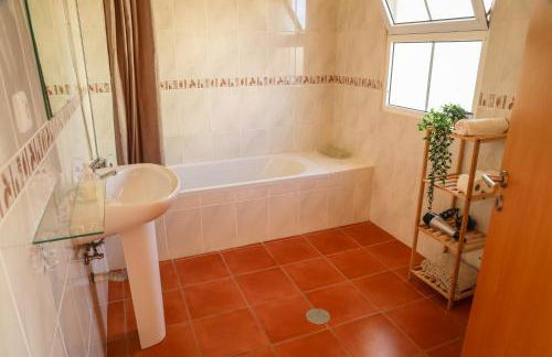 O DRAGOEIRO da Madalena! - Foto 28