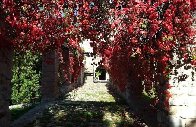 Giardino Donna Lavia - Photo 36