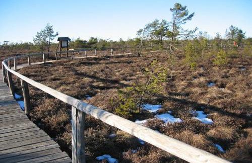 Gästehaus Klein - Foto 28