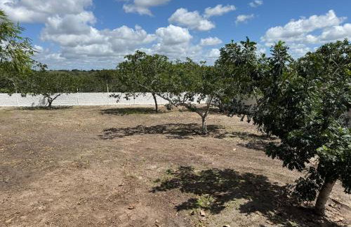 Malicia Ranch - Foto 11