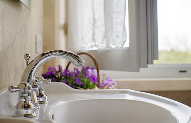 Rinidia Bio - Foto 32