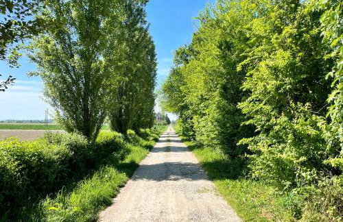 Palazzo Minelli - Foto 38