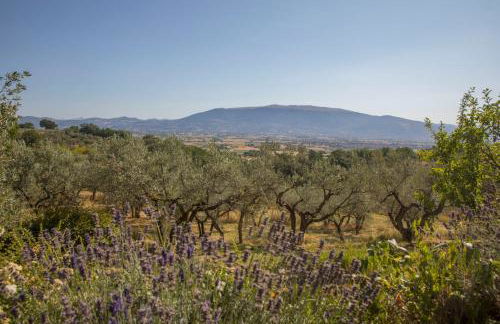 Villa Colle di Rocco - Photo 74