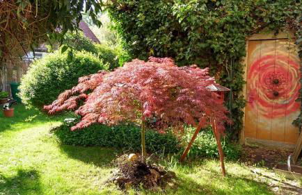 Ferienwohnung am Weidachbach - Foto 11