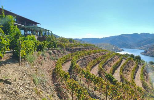 Wine House - Quinta Vale de Carvalho - Foto 16