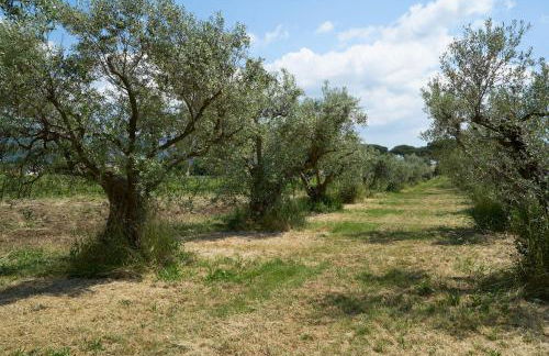 Villa Cavalletti - Foto 19