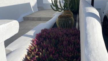 La Lapa - Foto 4, Garden