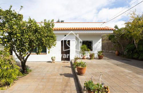 Tegas: Tacoronte, by Nivariahost - Foto 6