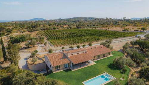 Binibona Gran - Foto 2