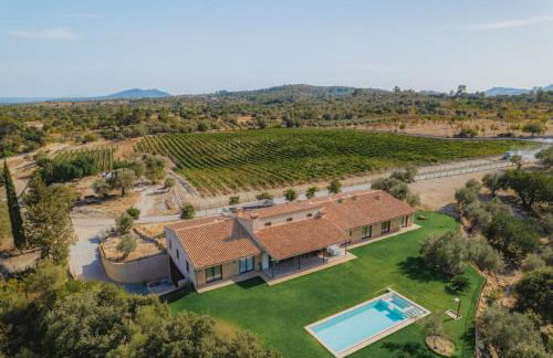 Binibona Gran - Foto 2