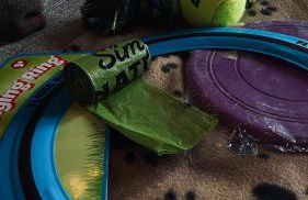 Badger's Sett - Foto 7