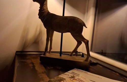 Feinwald Highline Altenau - Foto 10