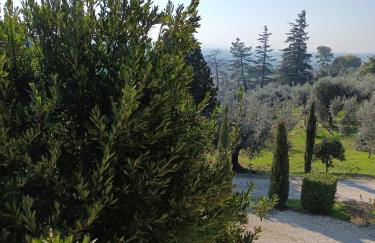 Colle Perazzoni - Foto 36