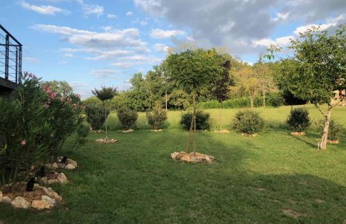 Maison typique Périgourdine avec piscine - Foto 16