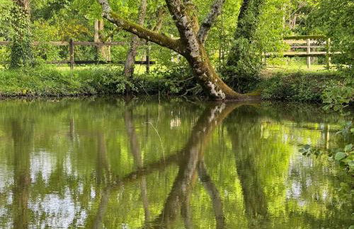 La Maison de l'Etang - Photo 29