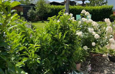 Ferienhaus bei Lauingen, mit Sauna und Gartenlounge - Foto 86